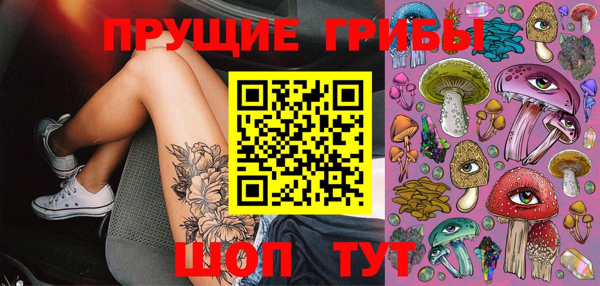 Алексеевка  Галлюциногенные грибы Magic Shrooms  закладка  Вход с VPN 